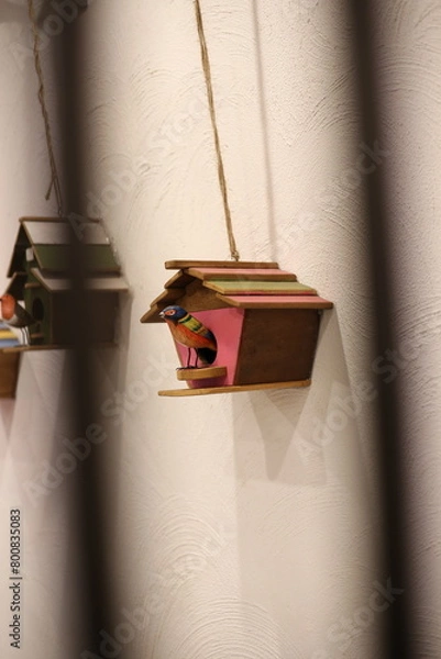 Obraz Natural photos