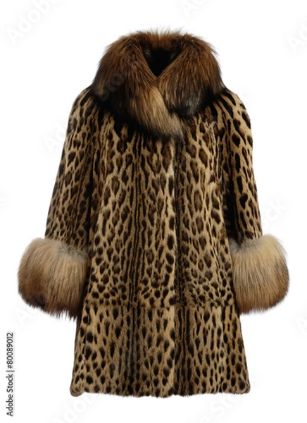 Obraz Fur coat brown