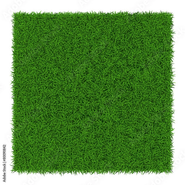 Obraz Square green grass banners, vector illustration.