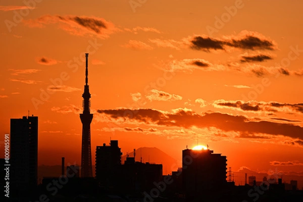 Fototapeta スカイツリー