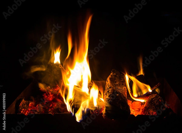 Fototapeta fire in a fireplace