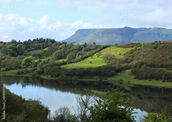 Fototapeta Landscape in rural County Sligo, Ireland featuring still waters of Lough Colgagh, hillside field, forests with Benbulben Mountain visible in background 