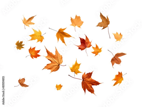 Obraz A dynamic arrangement of autumn leaves in mid-fall, with a palette of warm tones against a transparent background. Generative AI