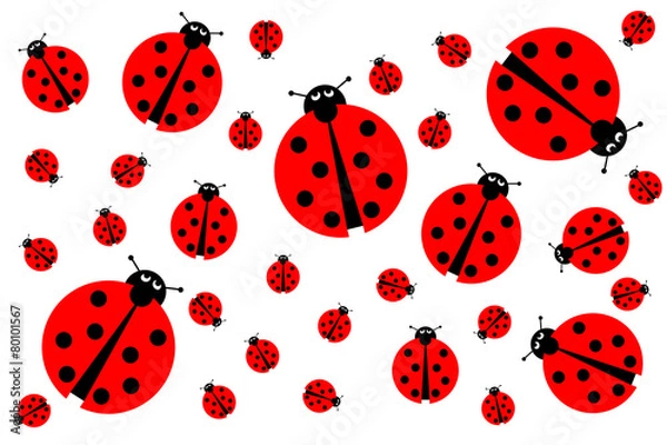Fototapeta Many Ladybugs