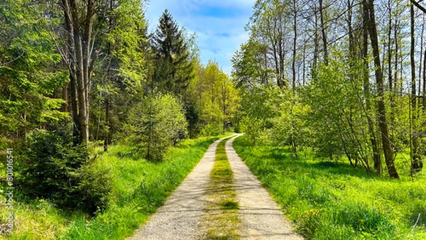 Obraz Way to Net Zero - Climate Journey