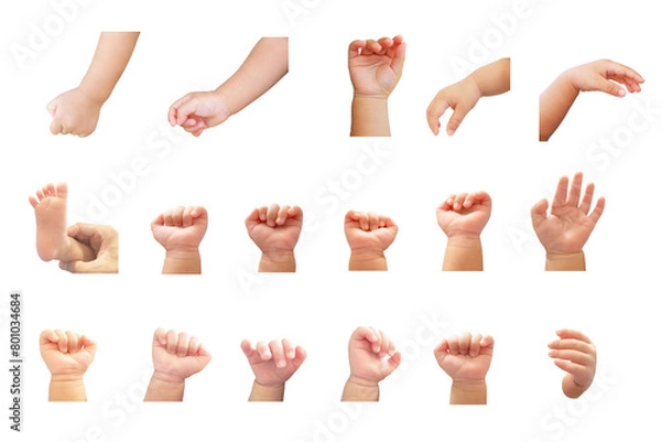 Fototapeta A collection of chubby babies' hands in various poses. And the baby's feet too. on a white background