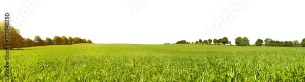 Obraz Meadow Panorama in Summertime - Transparent PNG Background