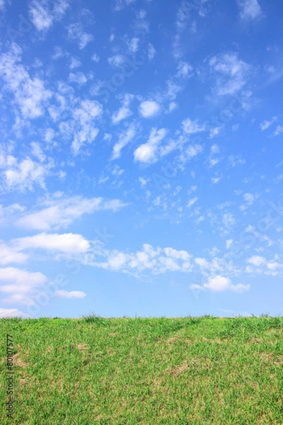 Obraz 草原　東京