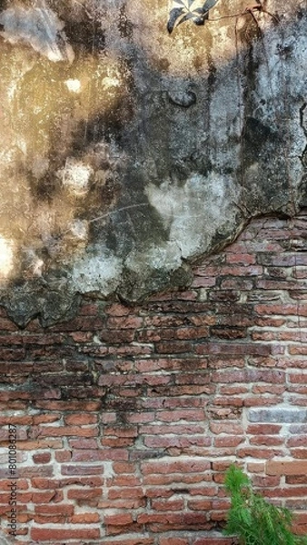 Obraz old brick wall with moss