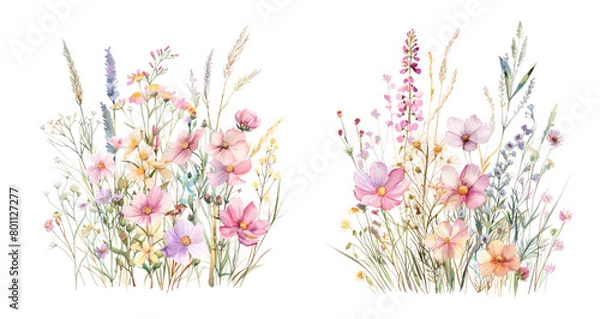 Obraz Bouquet of wildflowers on transparent background