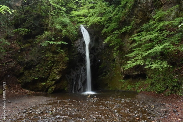 Fototapeta 観音山不動滝