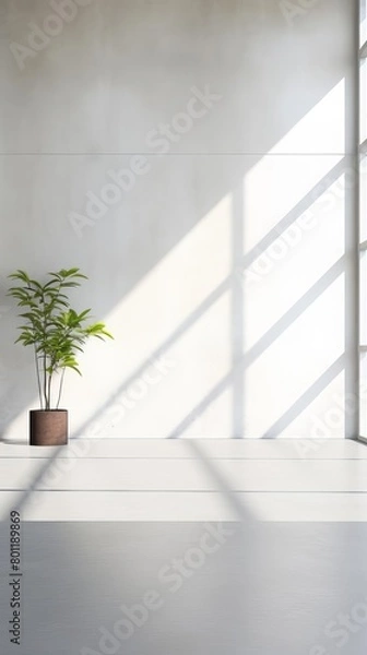 Fototapeta a plant in a pot on a ledge in front of a wall with a large window to the right