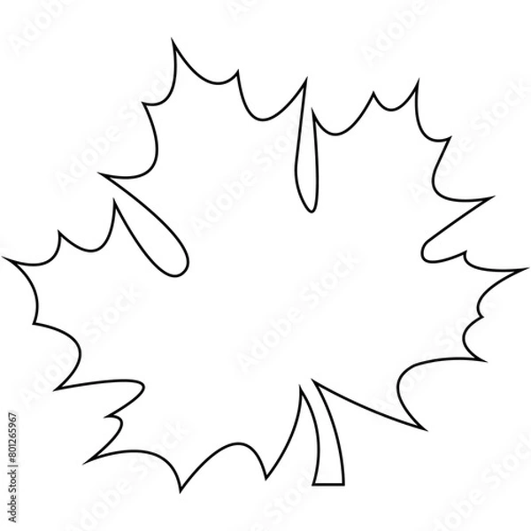 Obraz autumn leaf in contour. Transparent background.