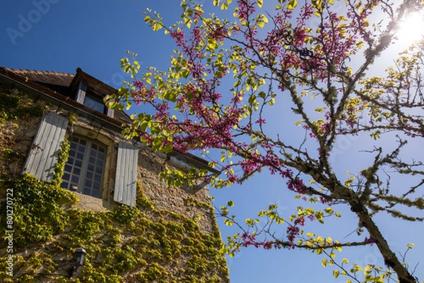 Obraz Maison Castelnaud