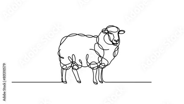 Fototapeta A continuous line drawing of a realistic sheep
