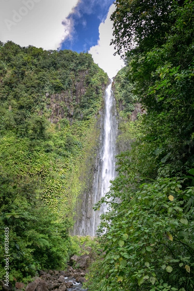 Obraz Cascade jungle