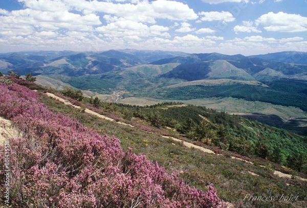 Fototapeta Wild Pirineo Mountains in Spring