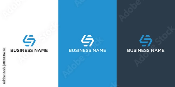 Fototapeta Company Logo Design Line LS Symbol
