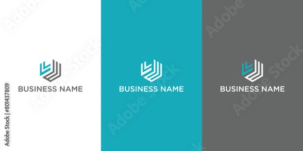 Fototapeta S W modern monogram style initial logo design