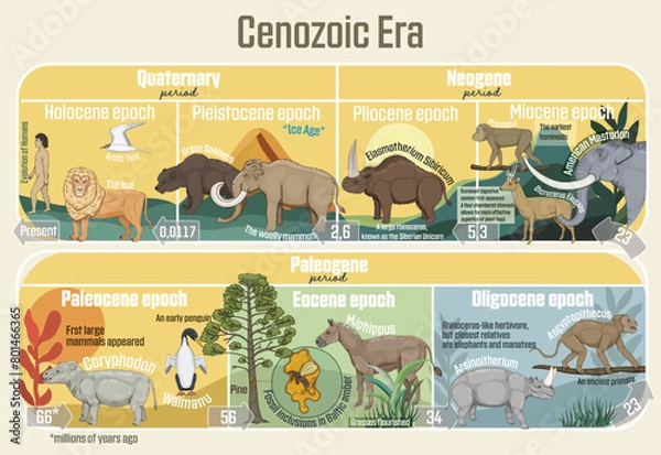 Fototapeta Cenozoic Era: Geological timeline spanning from the Paleocene Epoch to Holocene Epoch.
