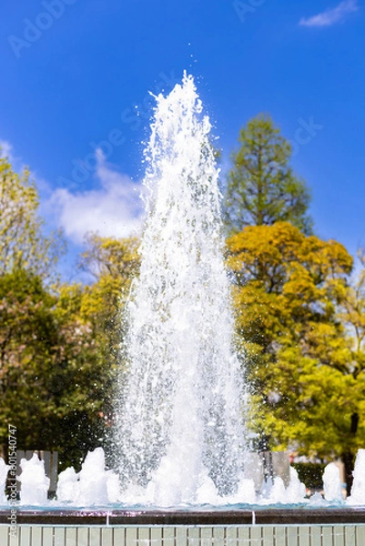 Fototapeta 噴水と青空