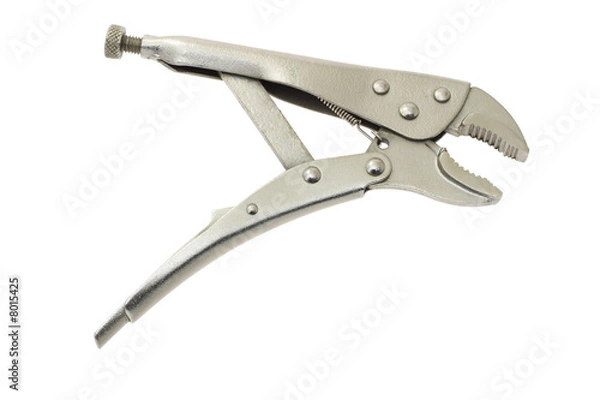 Fototapeta Locking grip pliers