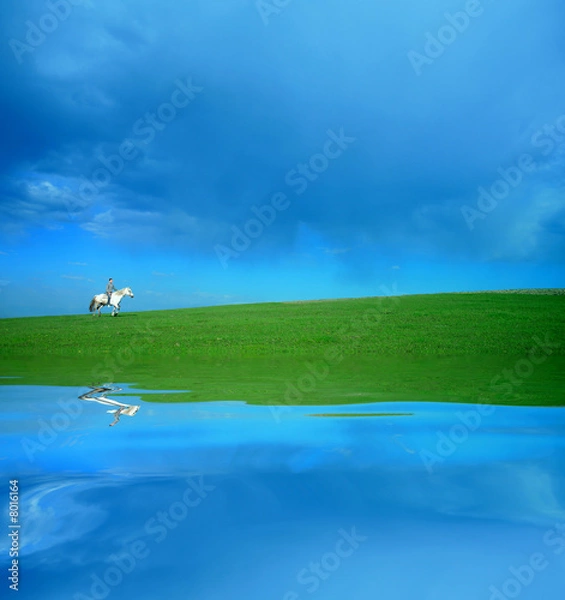 Obraz Rider on white horse