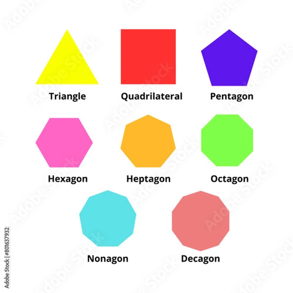 Obraz Polygon shapes types in math. Vector image.