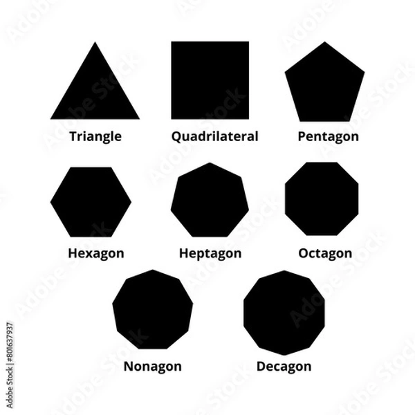 Obraz Polygon shapes types in math. Vector image.
