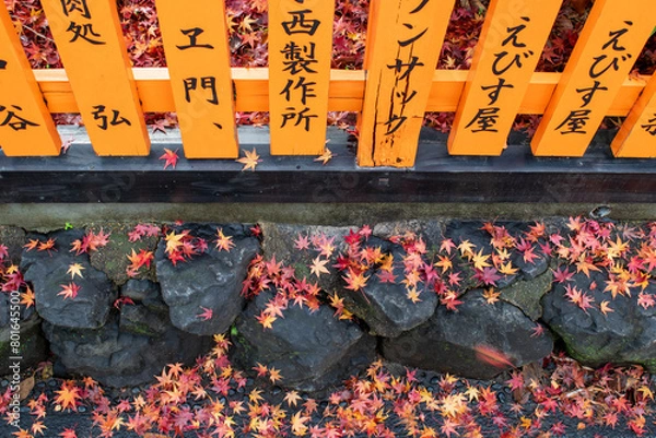 Obraz Autumn leaves Japan