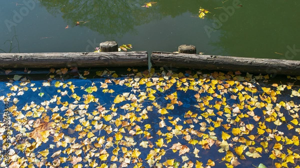 Obraz yellow and blue