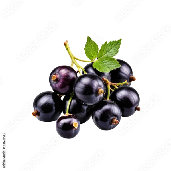 Fototapeta Blackcurrant black currant cassis isolated on transparent background