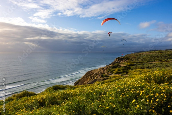 Obraz The sunset at the Terry pine beach