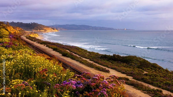Obraz The sunset at the Terry pine beach