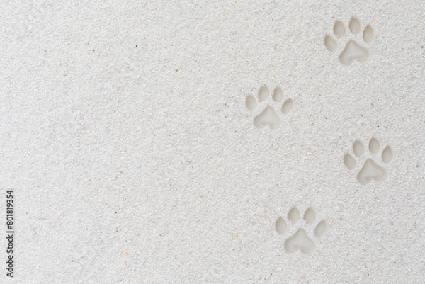 Fototapeta ビーチの白い砂と犬の足跡