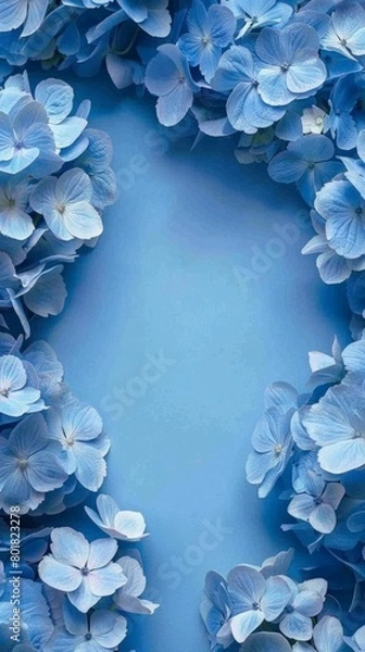 Obraz Blue background with a frame of blue hydrangea flowers. Space for text in center