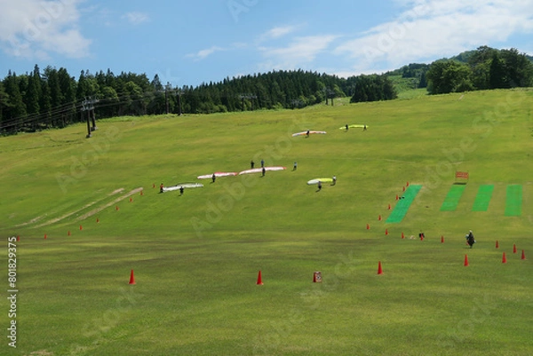 Obraz 夏のスキー場のゲレンデでパラグライダーをする人たち