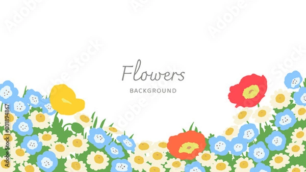 Fototapeta お花畑の広がる背景-ポピー・デイジー・ネモフィラ