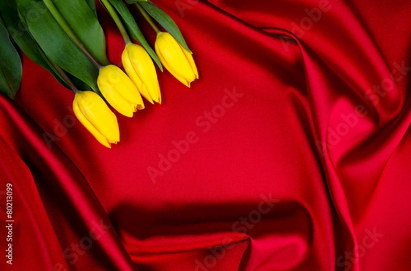 Fototapeta yellow tulips lying on red luxury abstract background frame