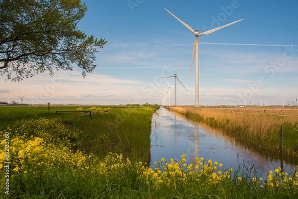 Obraz wind turbines in the field near the canal