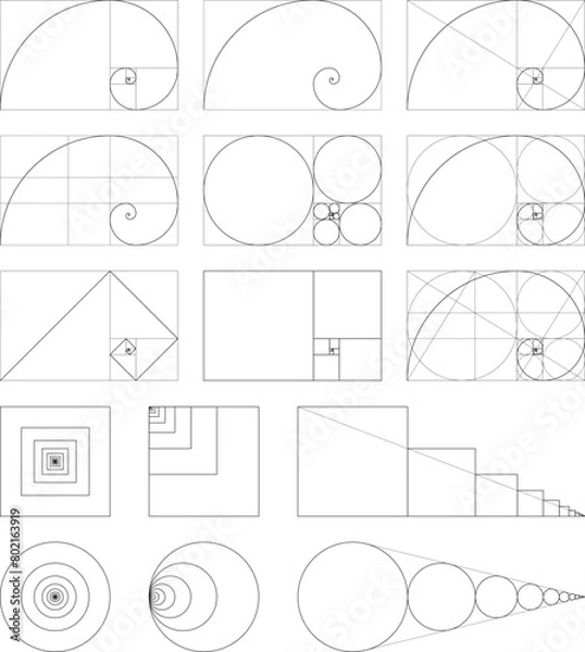 Fototapeta 様々な黄金螺旋・黄金比率のベクターイラストセット