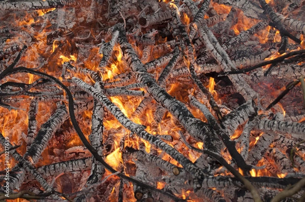 Obraz feu et cendres