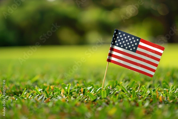 Fototapeta Small American flag on the green grass for Memorial Day background. Generative AI