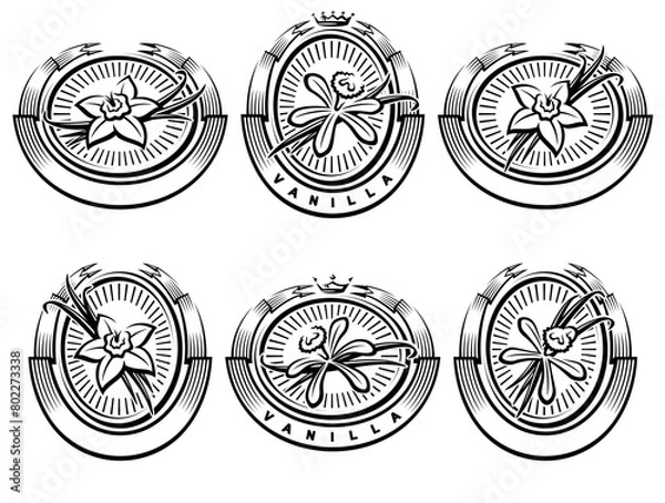 Obraz Vanilla labels and elements set. Collection icon vanilla. Vector