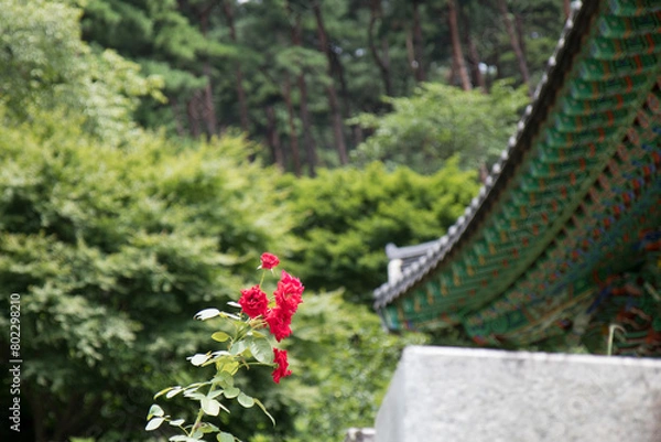 Obraz 한옥, korean-style house