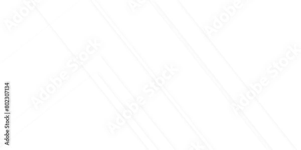 Obraz Abstract white line geometric corporate design and white background. Pattern of geometric white and gray color elegant abstract background, Web layout or poster, decorative banner.