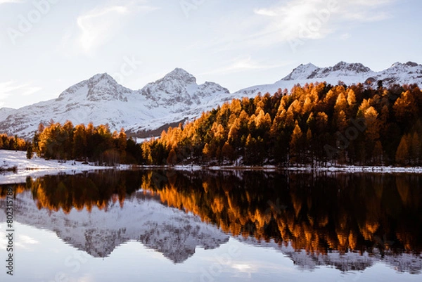 Obraz Landscape in the Alps