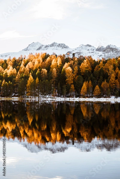 Obraz Landscape in the Alps