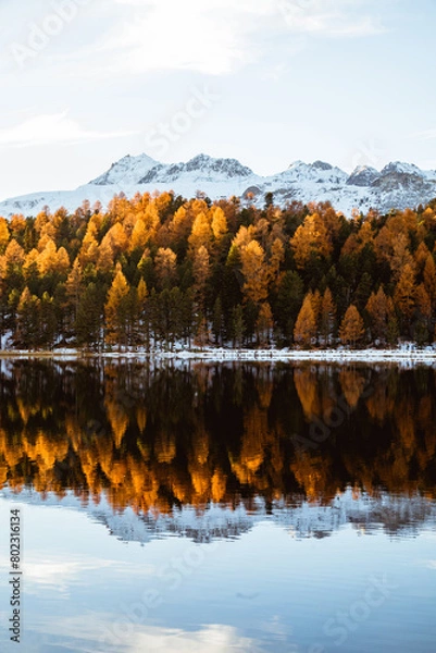 Obraz Landscape in the Alps