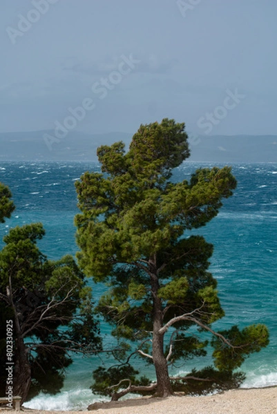 Obraz Küstenlandschaft